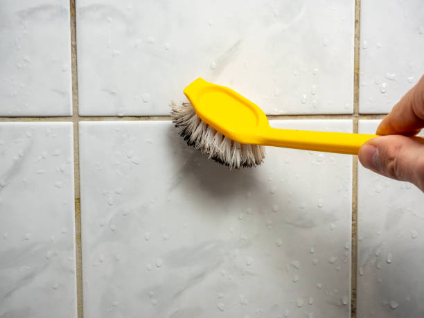 Best Bathroom Mold Remediation in Arcola, VA