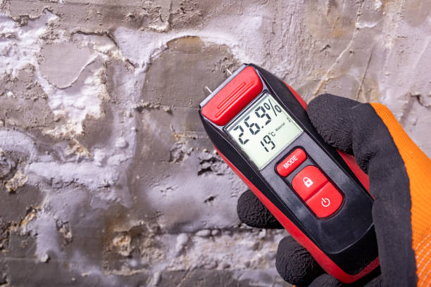Professional Mold Remediation in Arcola, VA